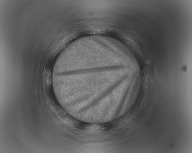 X0000115580123200912011448