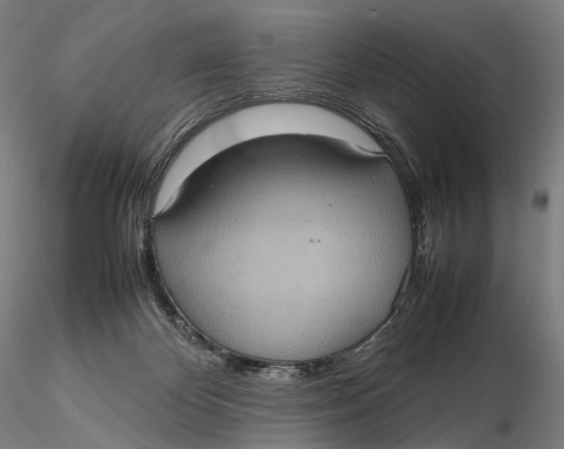 X0000115580124200912011448