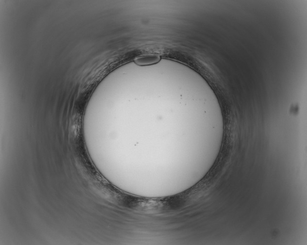 X0000115580125200912011448