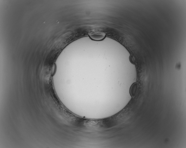 X0000115580129200912011448