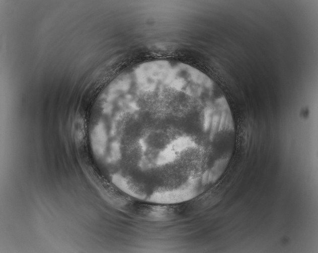 X0000115580130200912011448