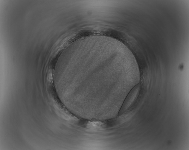 X0000115580137200912011448