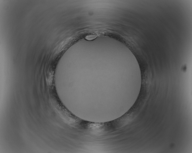 X0000115580139200912011448