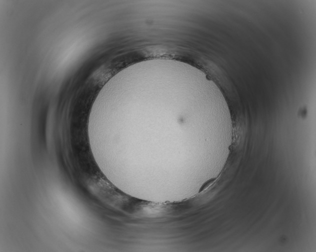 X0000115580142200912011448