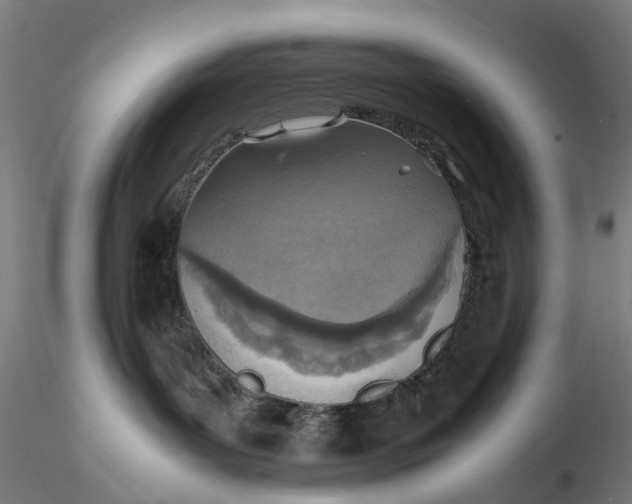 X0000115580143200912011448