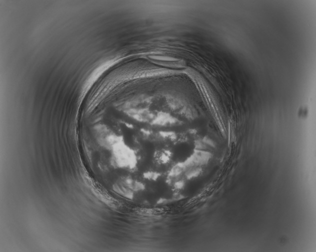 X0000115580147200912011447