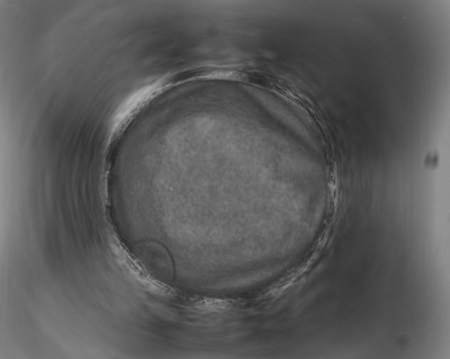 X0000115580149200912011447