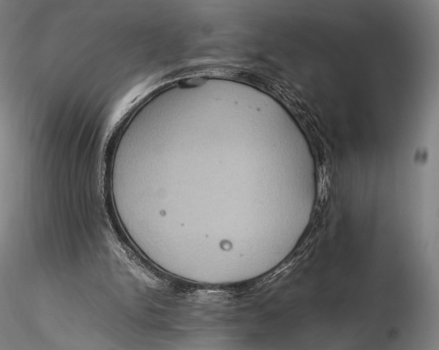 X0000115580150200912011447