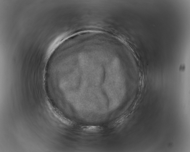 X0000115580151200912011447