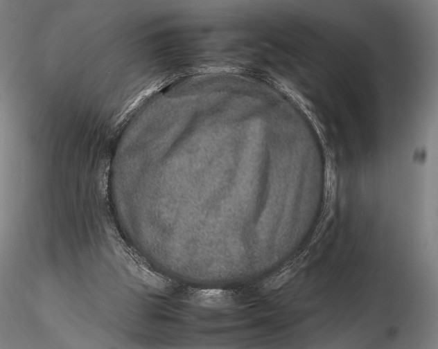 X0000115580153200912011447