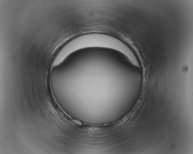 X0000115580154200912011447