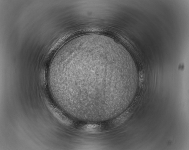 X0000115580158200912011447