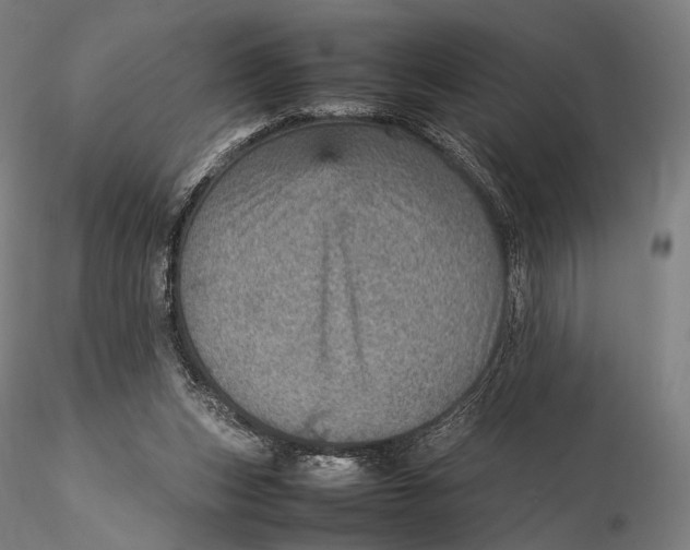 X0000115580159200912011447