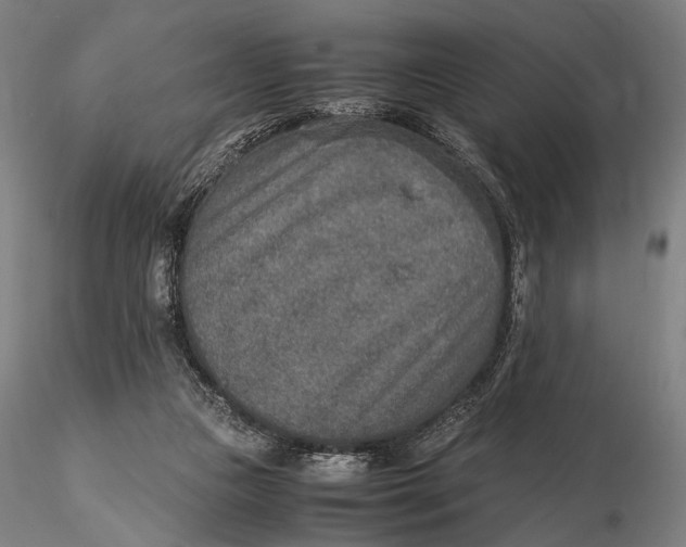 X0000115580161200912011447