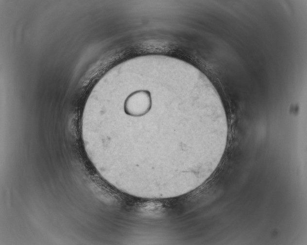 X0000115580162200912011447