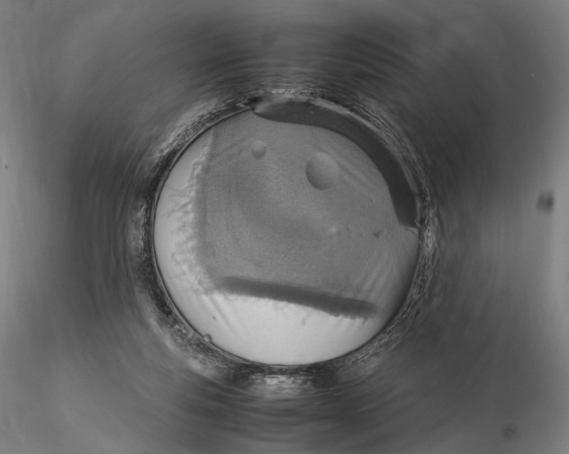 X0000115580163200912011447