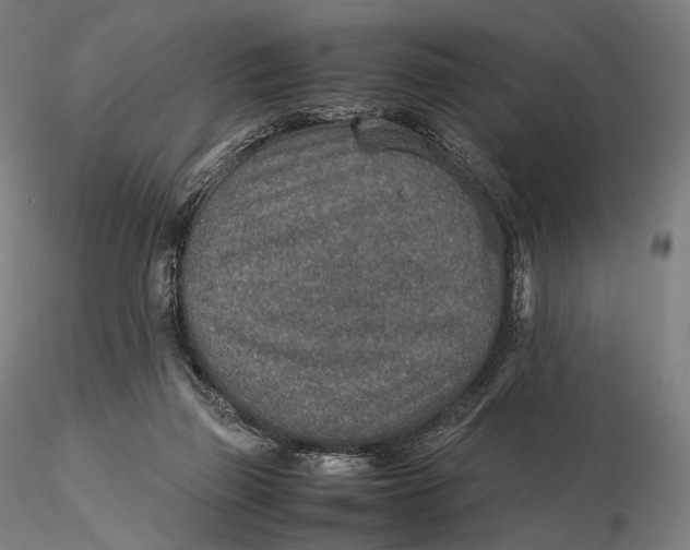 X0000115580165200912011447