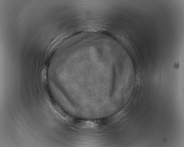 X0000115580166200912011447