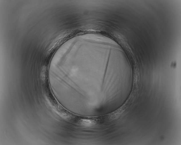 X0000115580167200912011447