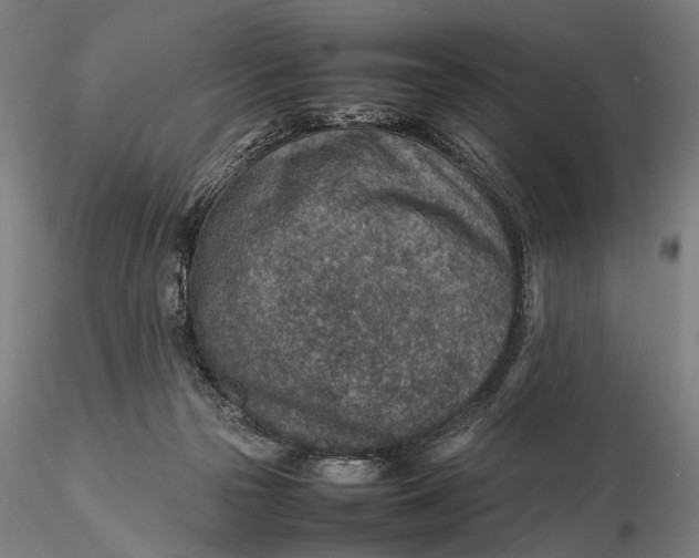 X0000115580169200912011447