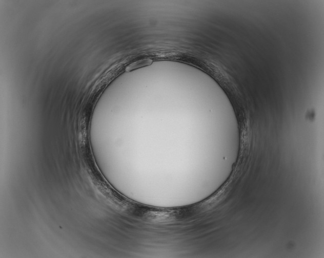 X0000115580170200912011447