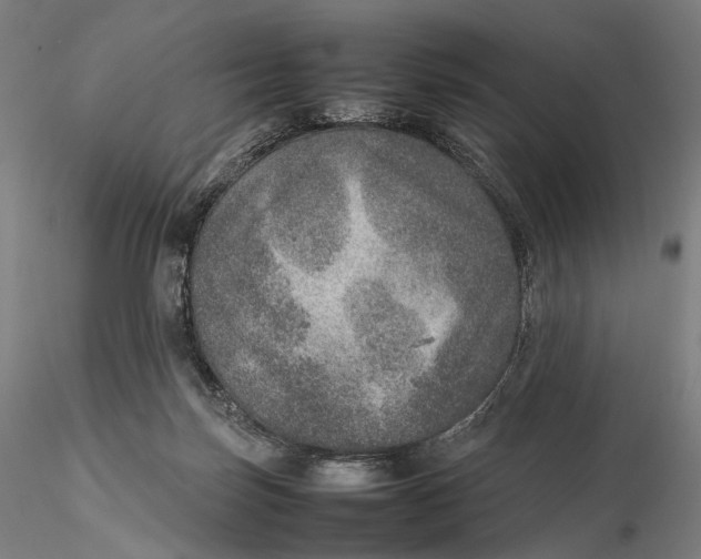 X0000115580171200912011447