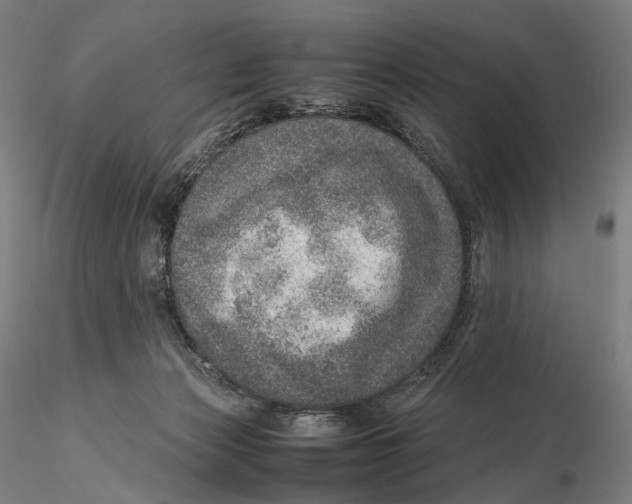 X0000115580173200912011447