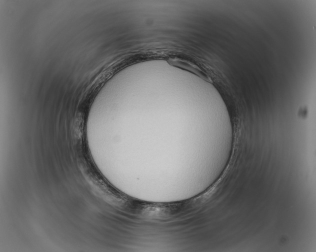 X0000115580174200912011447