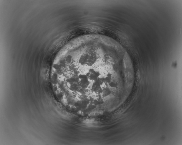 X0000115580177200912011447