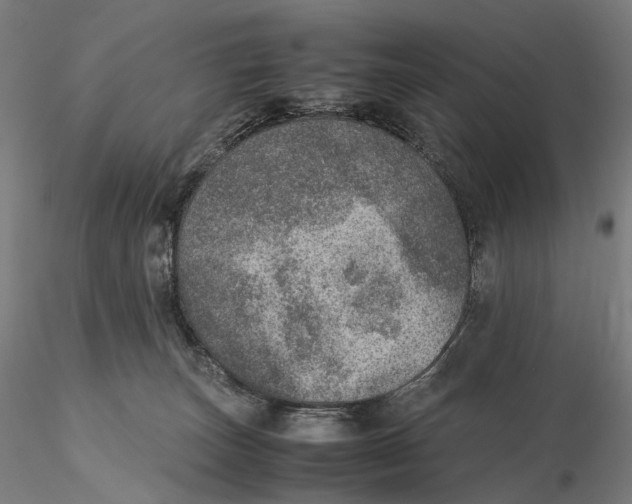 X0000115580179200912011448