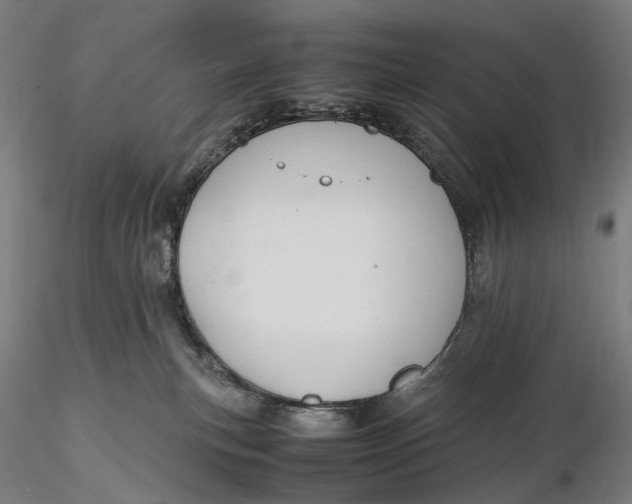 X0000115580183200912011448