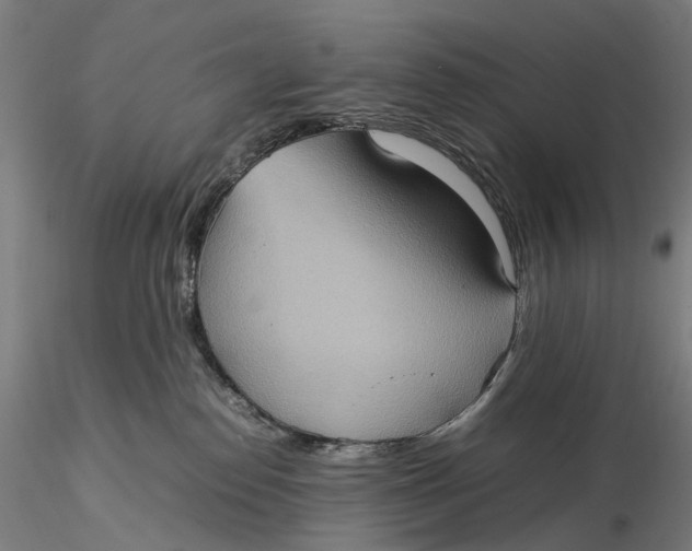 X0000115580186200912011448