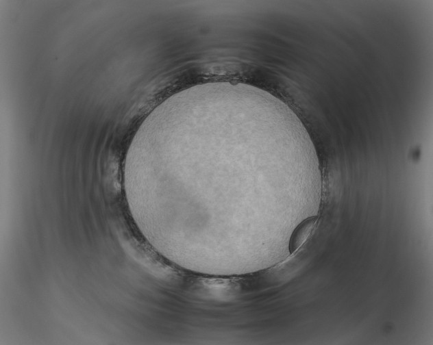 X0000115580187200912011448