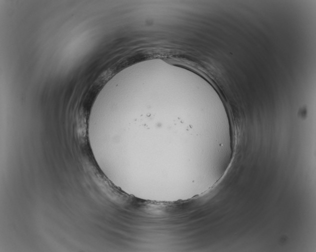 X0000115580190200912011448