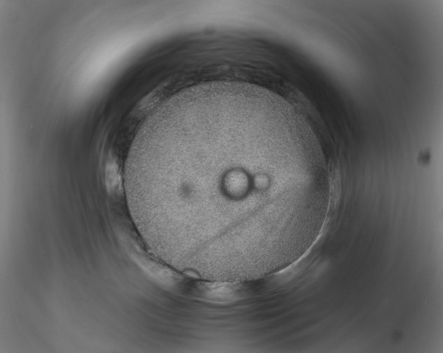 X0000115580191200912011448