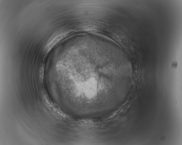 X0000115580194200912011447