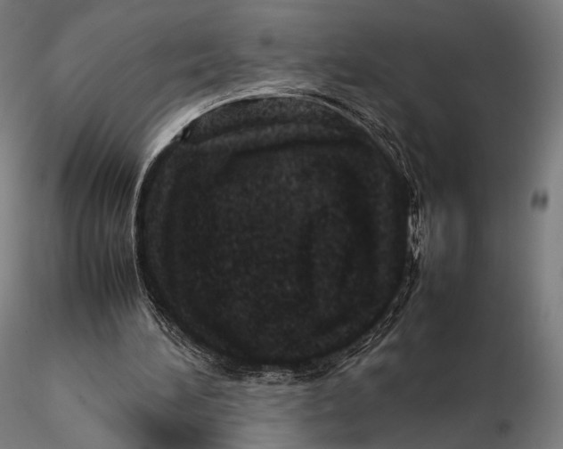 X0000115580196200912011447