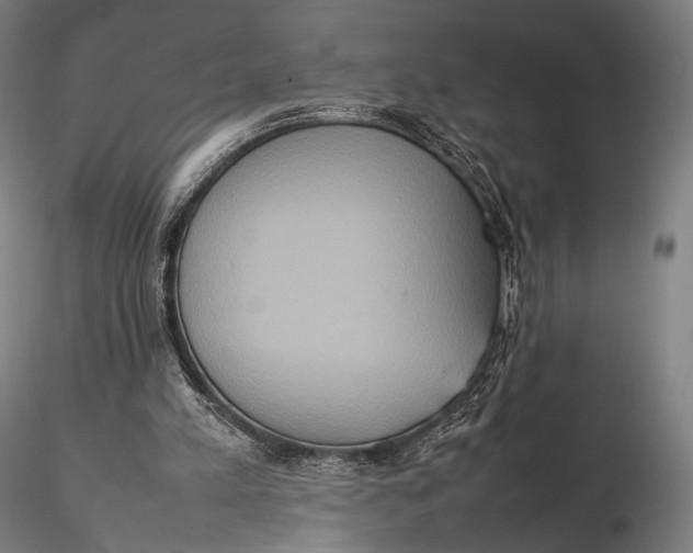 X0000115580197200912011447