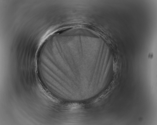 X0000115580198200912011447