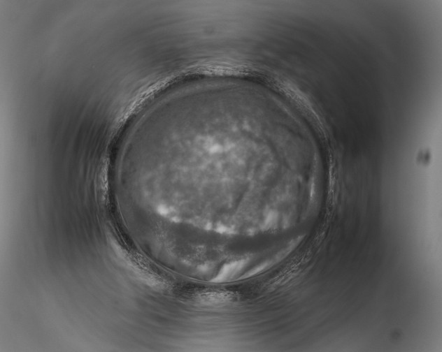 X0000115580202200912011447