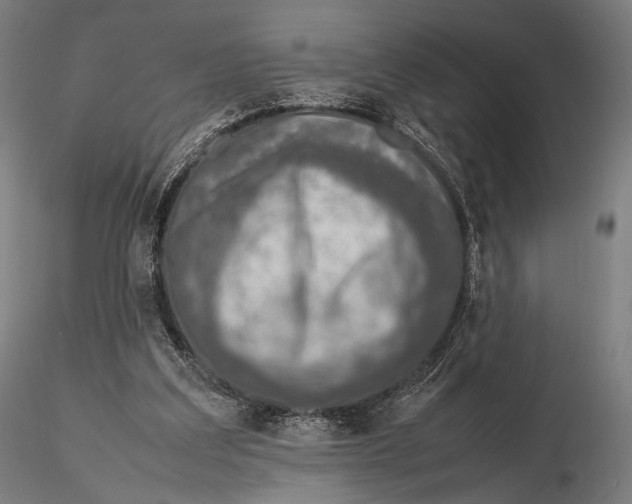 X0000115580203200912011447