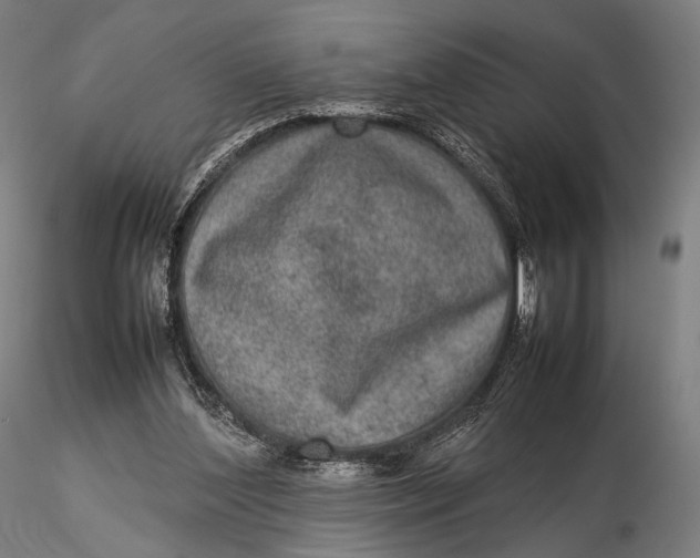 X0000115580204200912011447