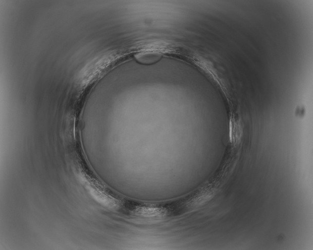 X0000115580205200912011447