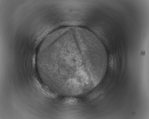 X0000115580206200912011447