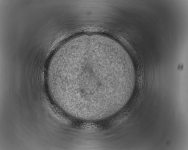 X0000115580207200912011447