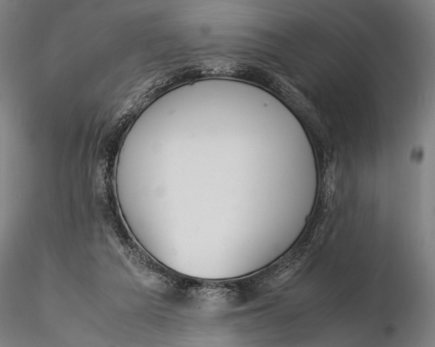 X0000115580209200912011447