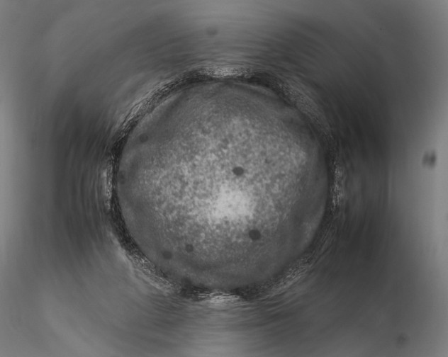 X0000115580210200912011447