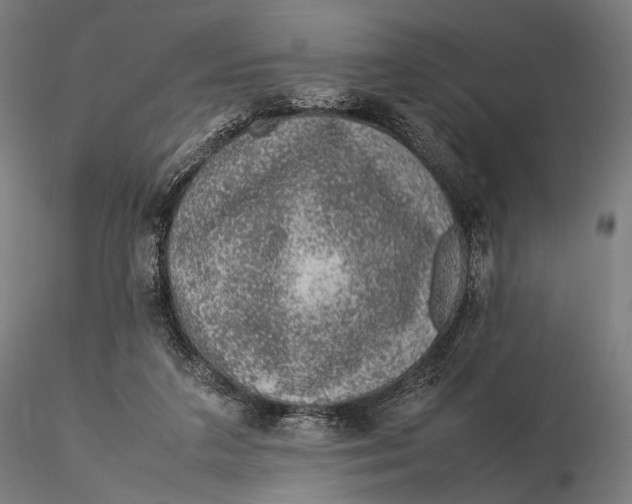 X0000115580211200912011447