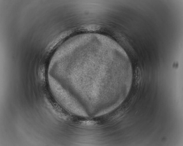 X0000115580212200912011447