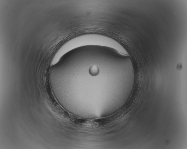 X0000115580215200912011447